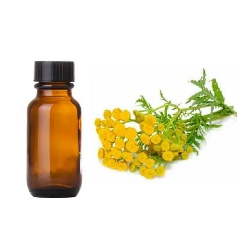 Blue Tansy Oil