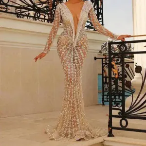 Minnie Long Sleeve Deep V Neck See Through Maxi Dress