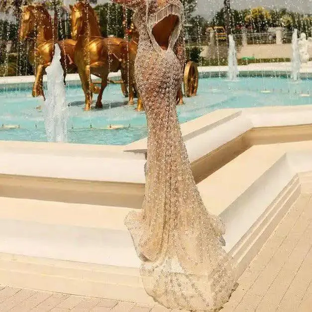 Minnie Long Sleeve Deep V Neck See Through Maxi Dress