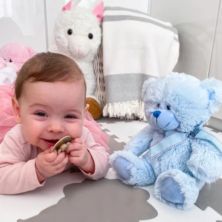 Pink Mini Plush Soft Teddy Bear Toy