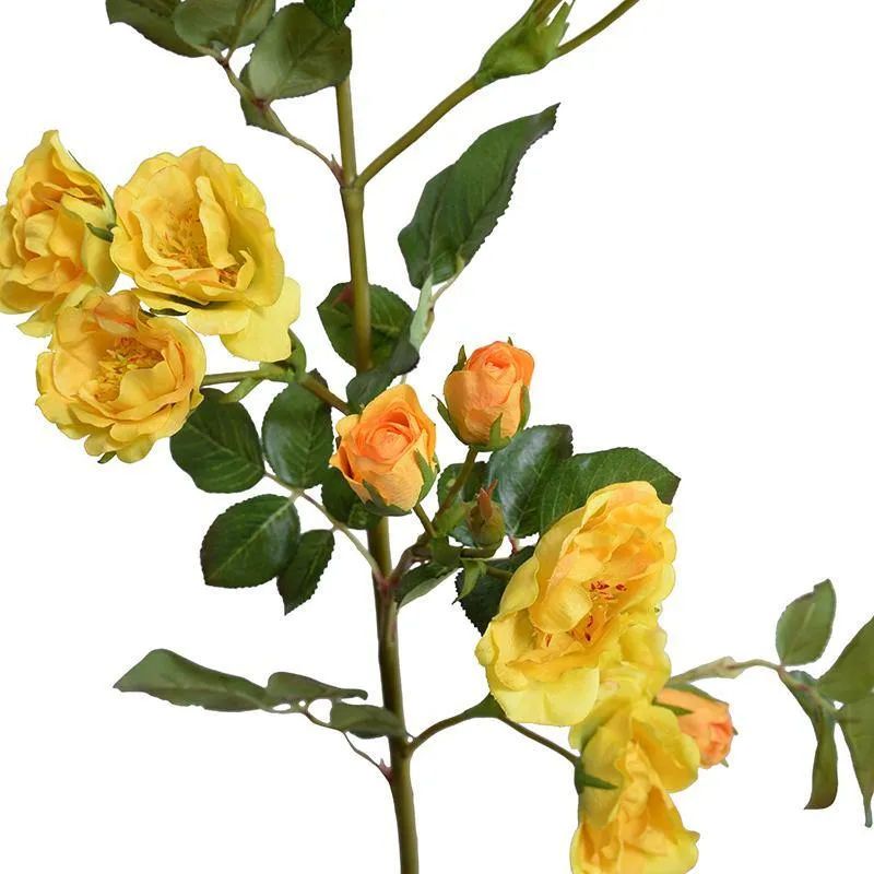 Rose, 35" Rambler - Yellow