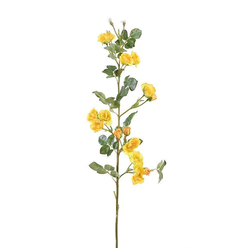 Rose, 35" Rambler - Yellow