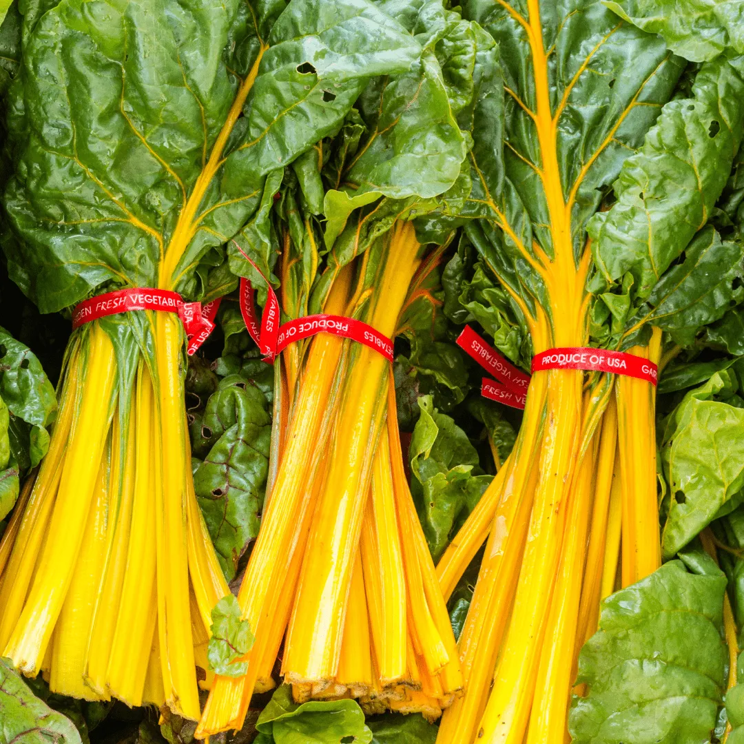 Swiss Chard Canary Yellow Seeds | West Coast Seeds