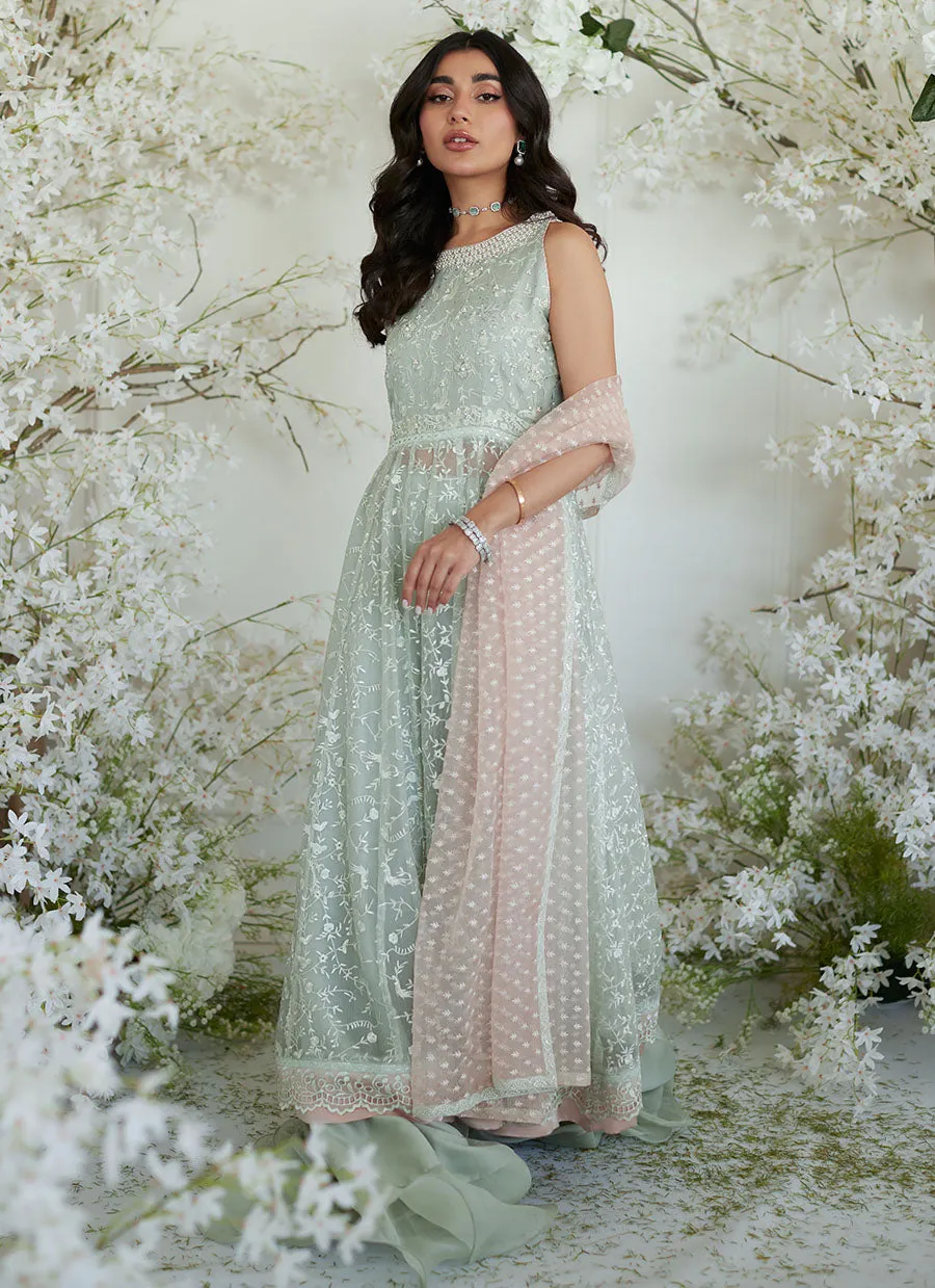 Teresa Mint Kalidaar and Dupatta