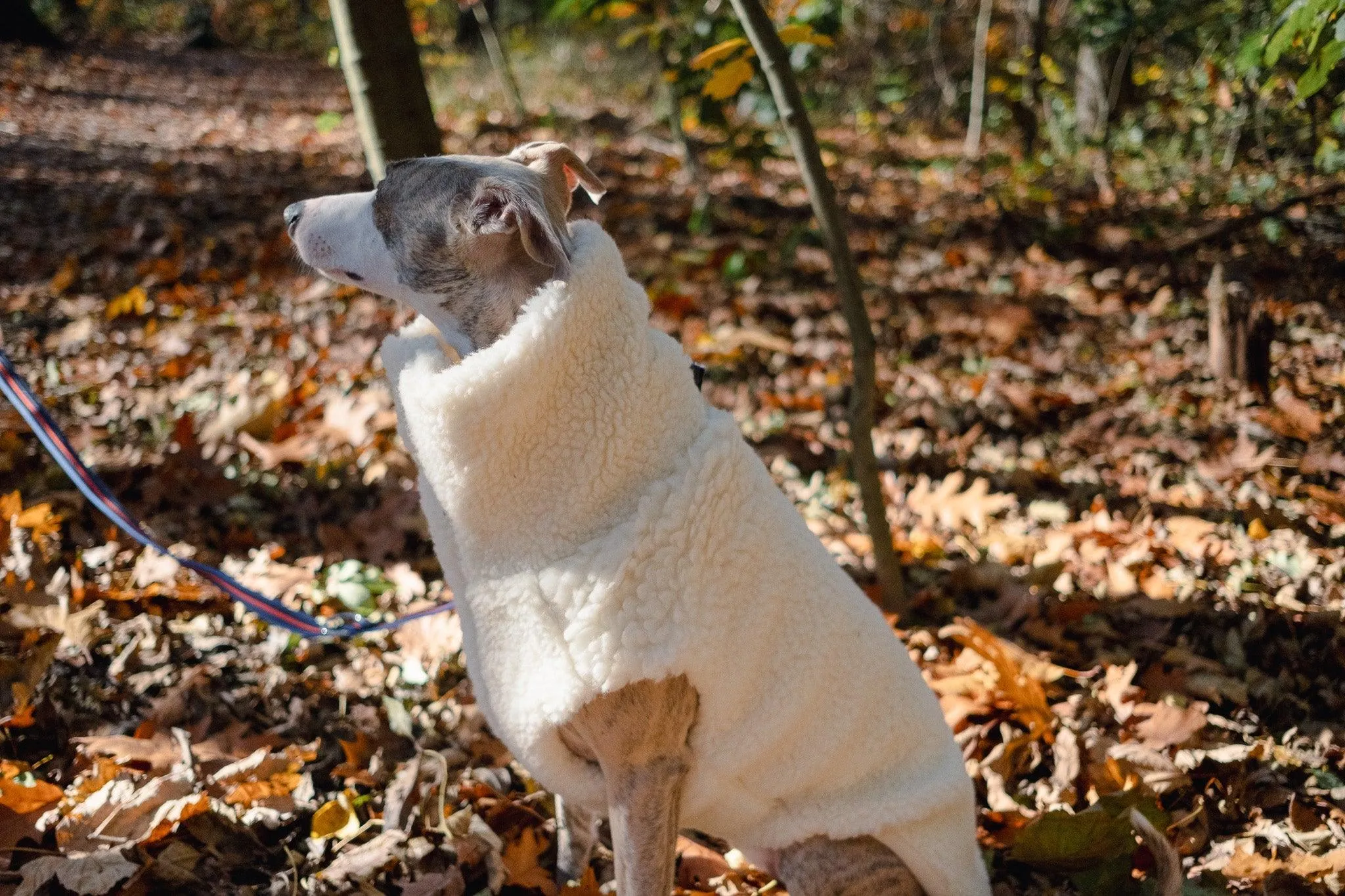 Woolen Dog Vest - White