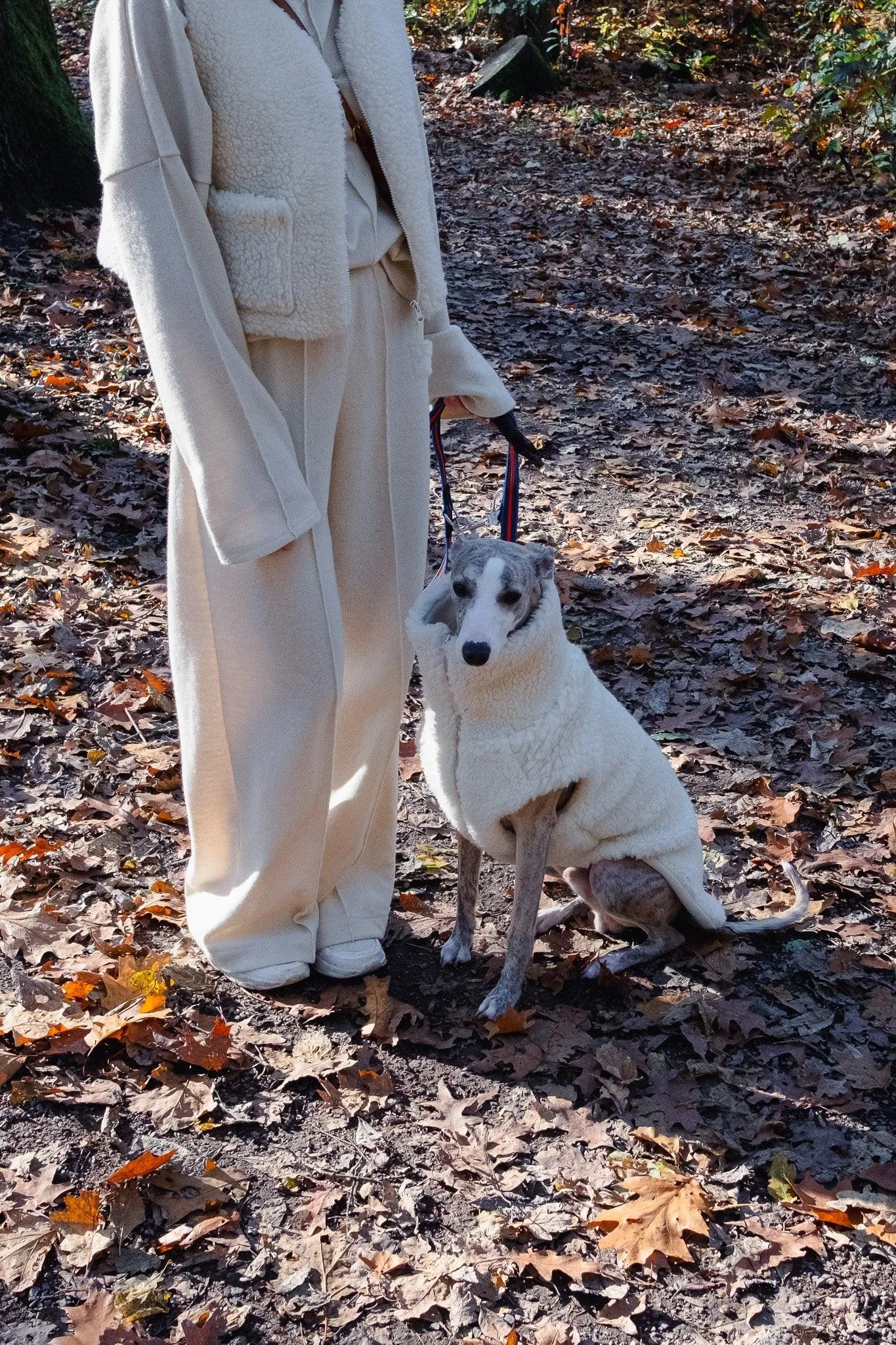 Woolen Dog Vest - White